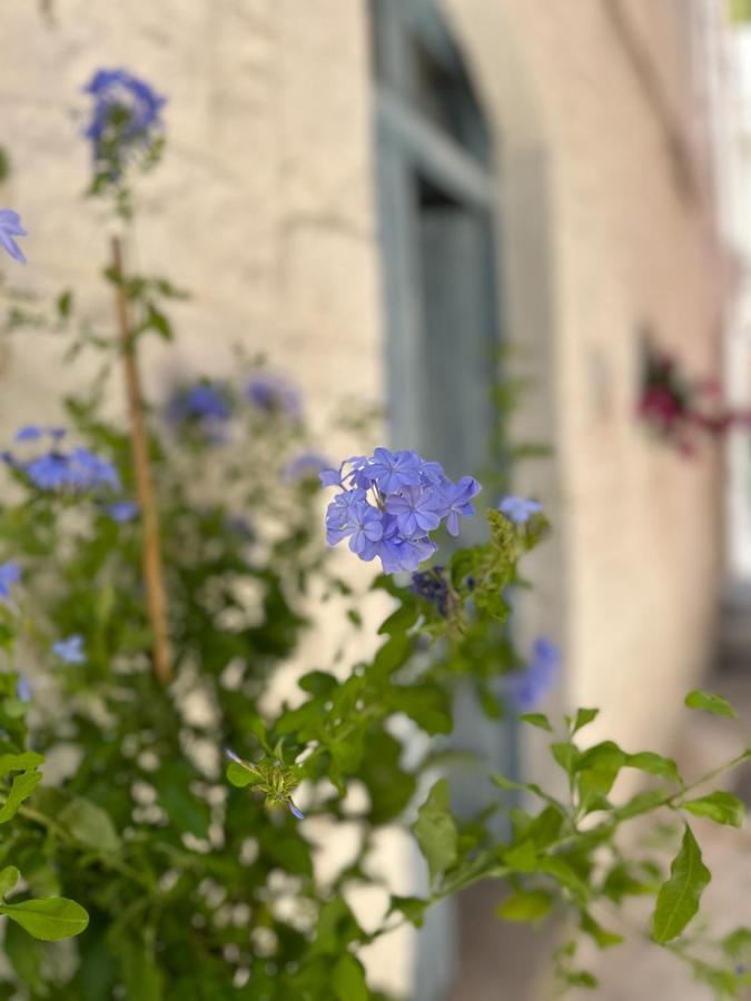 Bianco Calce - Ostuni Vila Exterior foto